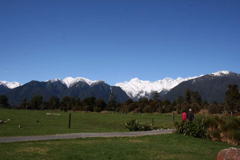 Fox Glacier, Westland National Park (Te Wahipounamu) (Jennifer Neal)